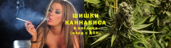 сатива Балахна